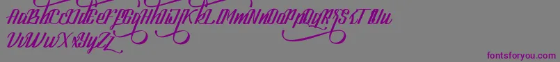 LookStandard Font – Purple Fonts on Gray Background
