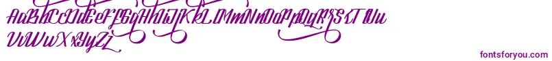 LookStandard Font – Purple Fonts