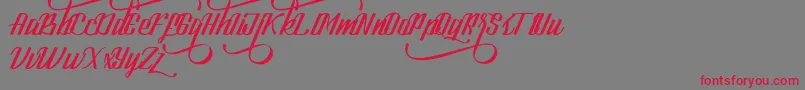 LookStandard Font – Red Fonts on Gray Background