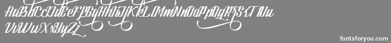 LookStandard Font – White Fonts on Gray Background