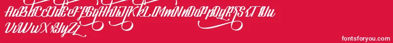 LookStandard Font – White Fonts on Red Background