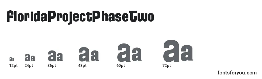 FloridaProjectPhaseTwo (113353) Font Sizes