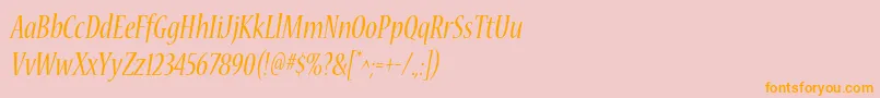 NuevastdConditalic Font – Orange Fonts on Pink Background