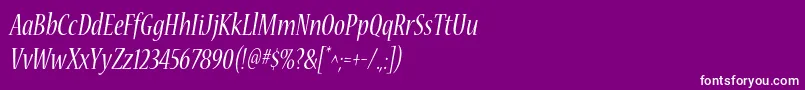 NuevastdConditalic Font – White Fonts on Purple Background