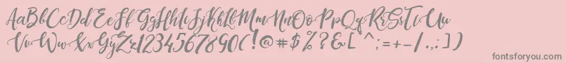 DandeleonVintageDemo Font – Gray Fonts on Pink Background