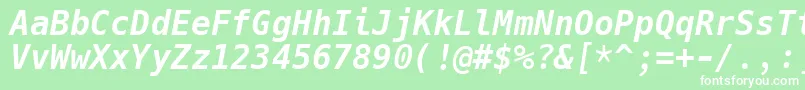 フォントHackBolditalic – 緑の背景に白い文字