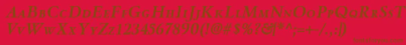 WinthorpescBolditalic Font – Brown Fonts on Red Background