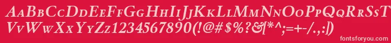 WinthorpescBolditalic Font – Pink Fonts on Red Background