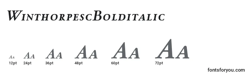 WinthorpescBolditalic Font Sizes