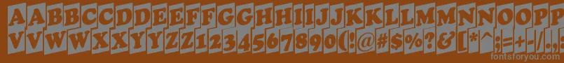 Weitere Informationen zur Cooper9-Schriftart Cooper9-Schriftart – Graue Schriften auf braunem Hintergrund