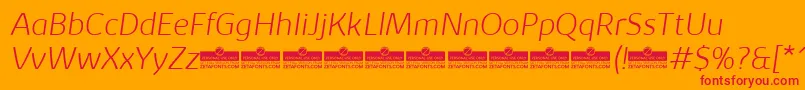 KabrioExtralightItalicTrial Font – Red Fonts on Orange Background