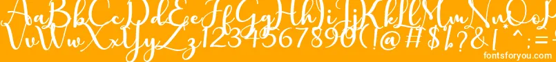 Charlotte Font – White Fonts on Orange Background