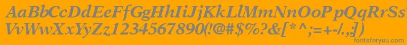 OrchidblacksskItalic Font – Gray Fonts on Orange Background