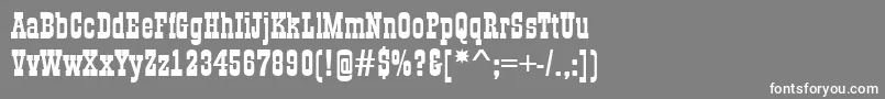 AGildiaBold Font – White Fonts on Gray Background