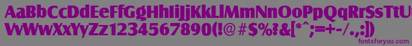 SalzburgserialHeavyRegular Font – Purple Fonts on Gray Background