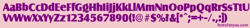 SalzburgserialHeavyRegular Font – Purple Fonts on Pink Background