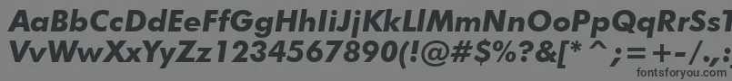 FuturaBoldItalicBt Font – Black Fonts on Gray Background