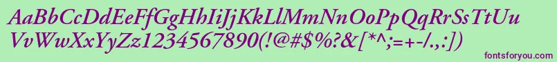 ApcgaramondcBolditalic Font – Purple Fonts on Green Background