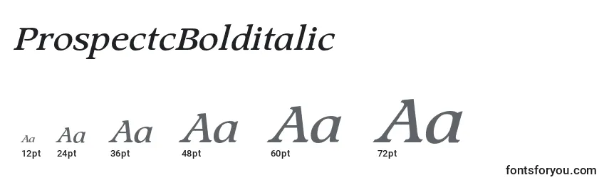 ProspectcBolditalic Font Sizes