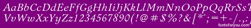 BannikovacItalic Font – White Fonts on Purple Background