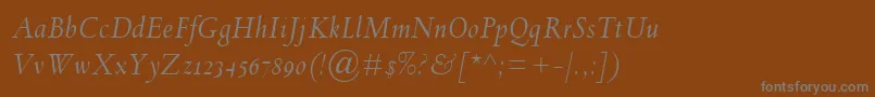 フォントSpectrumMtOsfItalic – 茶色の背景に灰色の文字