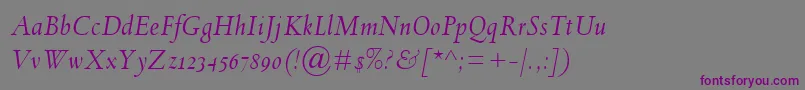 Шрифт SpectrumMtOsfItalic – фиолетовые шрифты на сером фоне