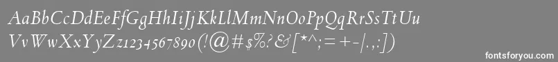 フォントSpectrumMtOsfItalic – 灰色の背景に白い文字