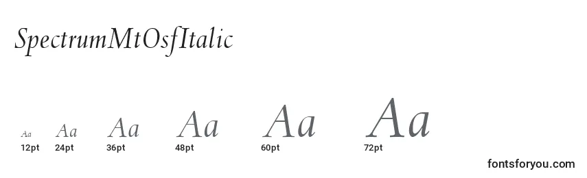 Размеры шрифта SpectrumMtOsfItalic