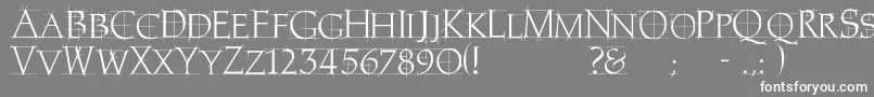 フォントHomerem – 灰色の背景に白い文字