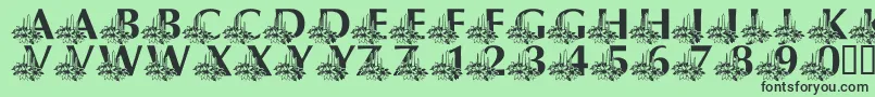 LmsCandleLitChristmasEve Font – Black Fonts on Green Background