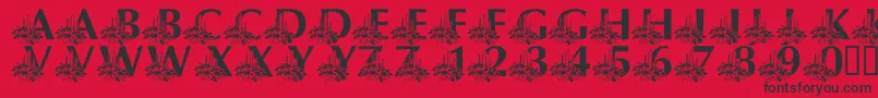 フォントLmsCandleLitChristmasEve – 赤い背景に黒い文字