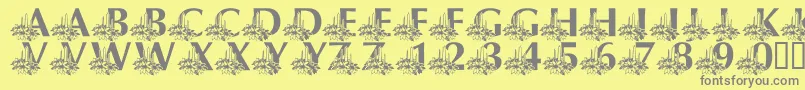 LmsCandleLitChristmasEve Font – Gray Fonts on Yellow Background