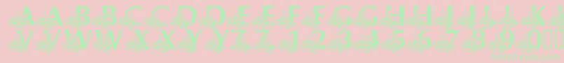 LmsCandleLitChristmasEve Font – Green Fonts on Pink Background