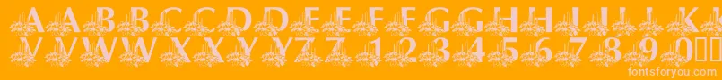 LmsCandleLitChristmasEve Font – Pink Fonts on Orange Background