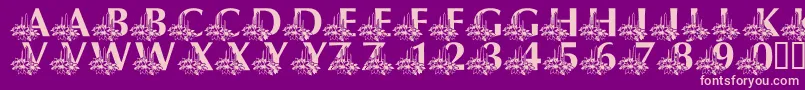 LmsCandleLitChristmasEve Font – Pink Fonts on Purple Background