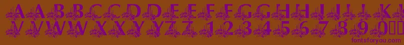 LmsCandleLitChristmasEve Font – Purple Fonts on Brown Background