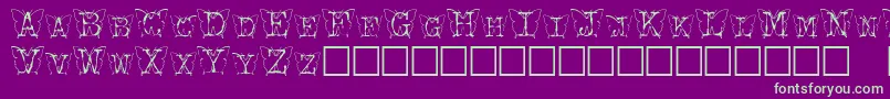 Kfb Font – Green Fonts on Purple Background