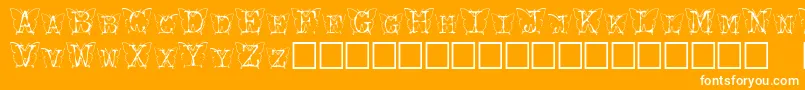 Kfb Font – White Fonts on Orange Background