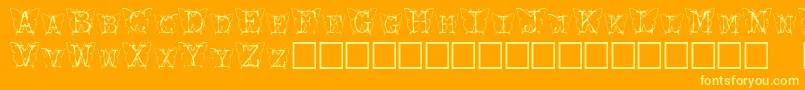 Kfb Font – Yellow Fonts on Orange Background