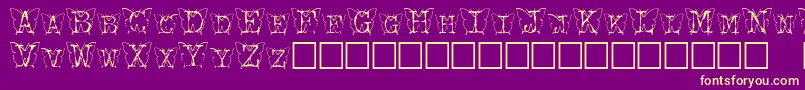 Kfb Font – Yellow Fonts on Purple Background