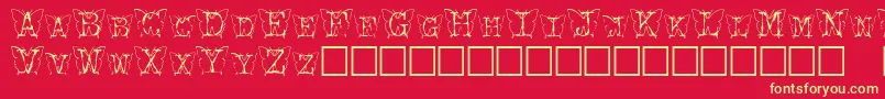 Kfb Font – Yellow Fonts on Red Background