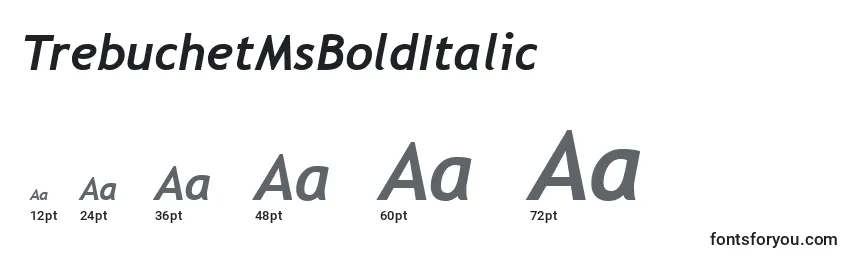 TrebuchetMsBoldItalic Font Sizes