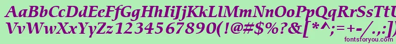 ItcCerigoLtBoldItalic-Schriftart – Violette Schriften auf grünem Hintergrund