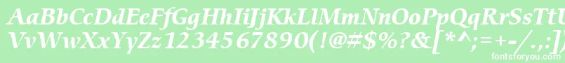 ItcCerigoLtBoldItalic Font – White Fonts on Green Background