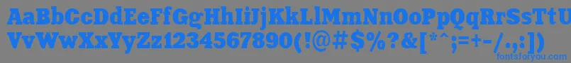 Aardvark80n Font – Blue Fonts on Gray Background