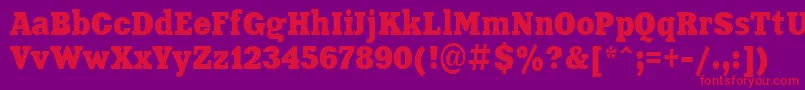 Aardvark80n Font – Red Fonts on Purple Background