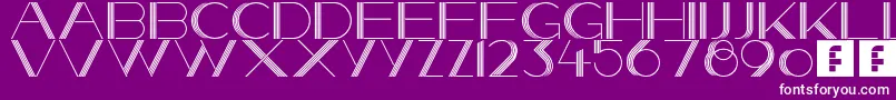 SheStoleTheNight Font – White Fonts on Purple Background