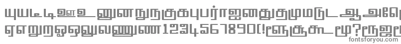 フォントTmlSquarePlain – 白い背景に灰色の文字