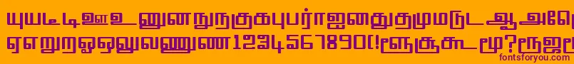 TmlSquarePlain Font – Purple Fonts on Orange Background