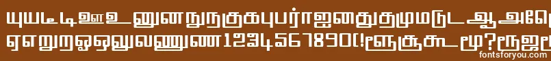 Шрифт TmlSquarePlain – белые шрифты на коричневом фоне